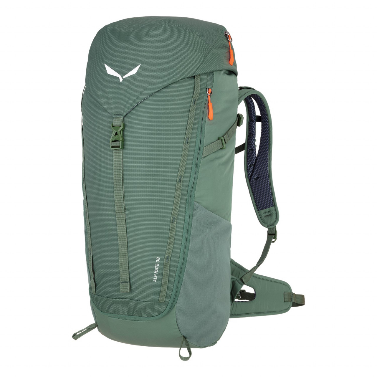 Mochilas Salewa Alp Mate 36L Verdes 216FICYQK